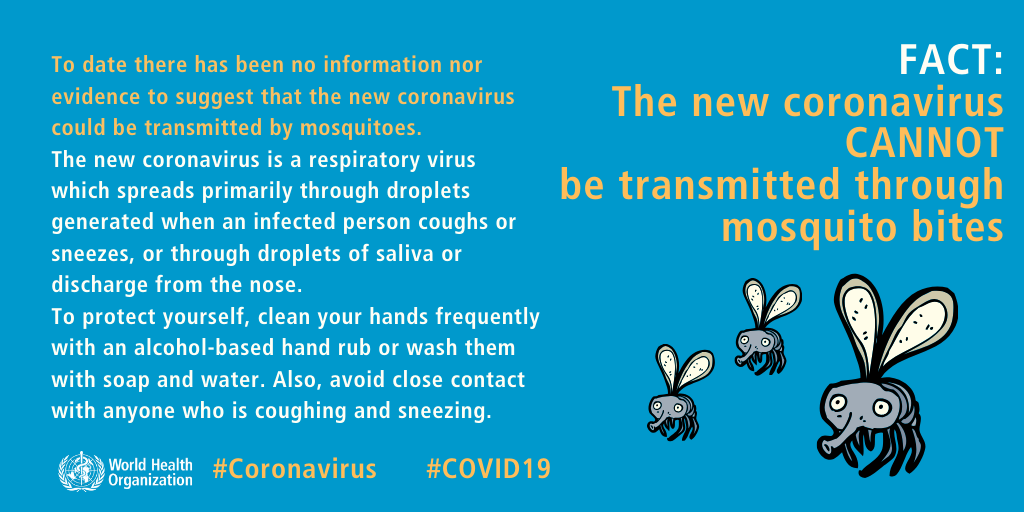 To date there has been no information nor evidence to suggest that the new coronavirus could be transmitted by mosquitoes. The new coronavirus is a respiratory virus which spreads primarily through droplets generated when an infected person coughs or sneezes, or through droplets of saliva or discharge from the nose. To protect yourself, clean your hands frequently with an alcohol-based hand rub or wash them with soap and water. Also, avoid close contact with anyone who is coughing and sneezing.